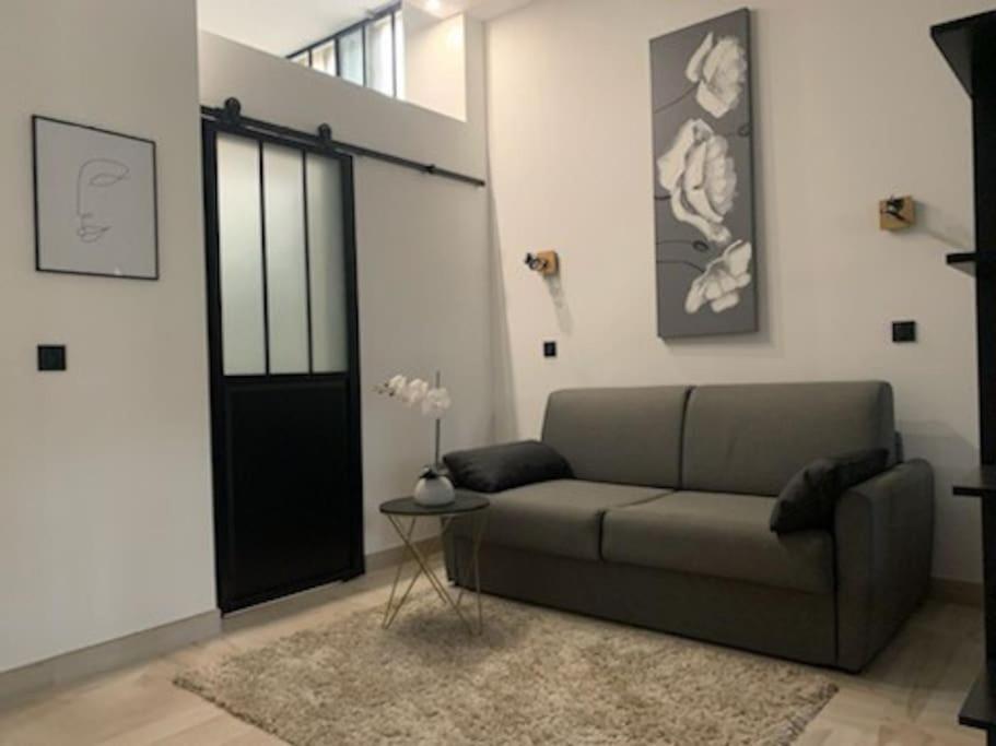 Studio Loft 40M2 De Charme Perpignan Exterior photo